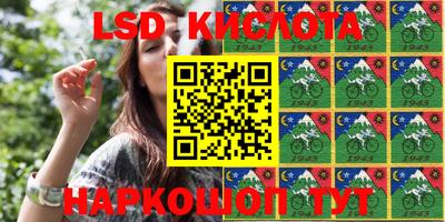 крисы Будённовск