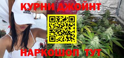 крисы Будённовск